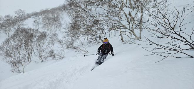 JAPOW